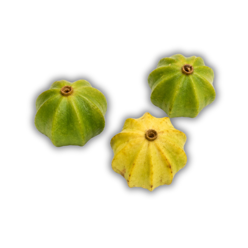 Sanfona (Melanopsidium nigrum)