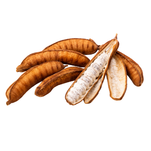 Inga aptera