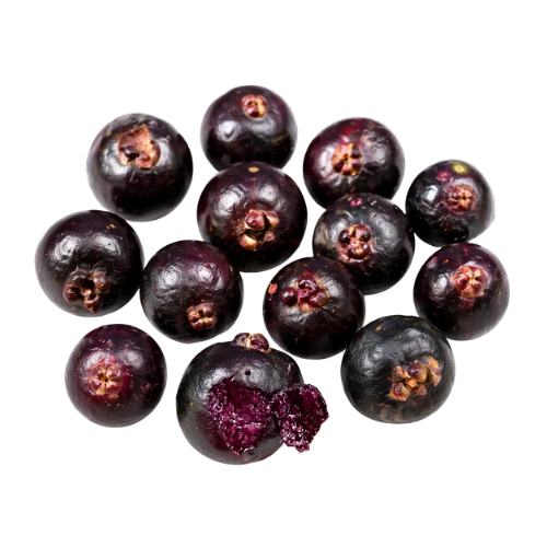 Eugenia rotundifolia var. Camamu