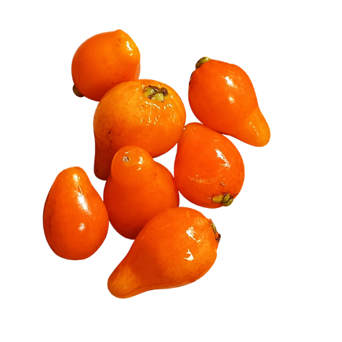 Mirinda (Eugenia sp Laranja do Rio de Janeiro)
