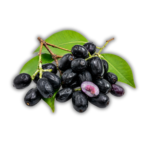 Syzygium cumini