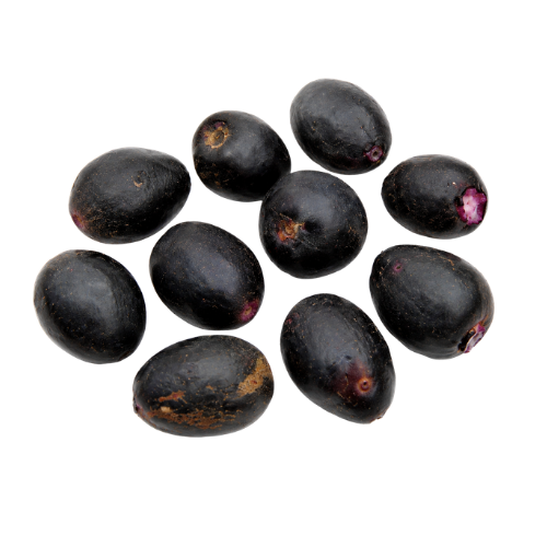 Baguaçu (Eugenia astringens)